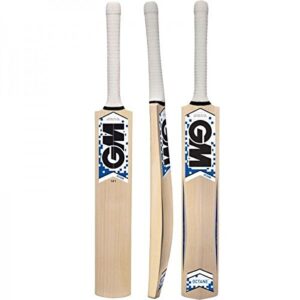 GM Octane Mini Cricket Bat